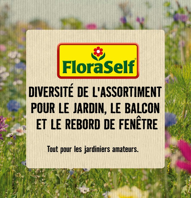
				FloraSelf

			