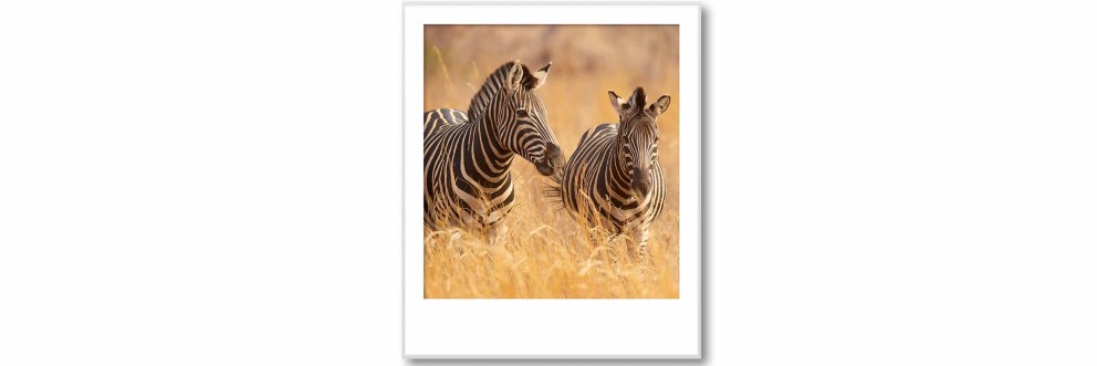 Fascination Serengeti Fascination Serengeti