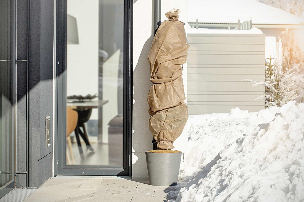 Kübelpflanzen überwintern Kübelpflanzen überwintern