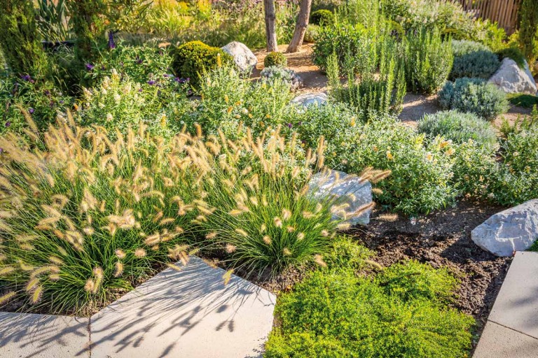 Jardin facile à entretenir