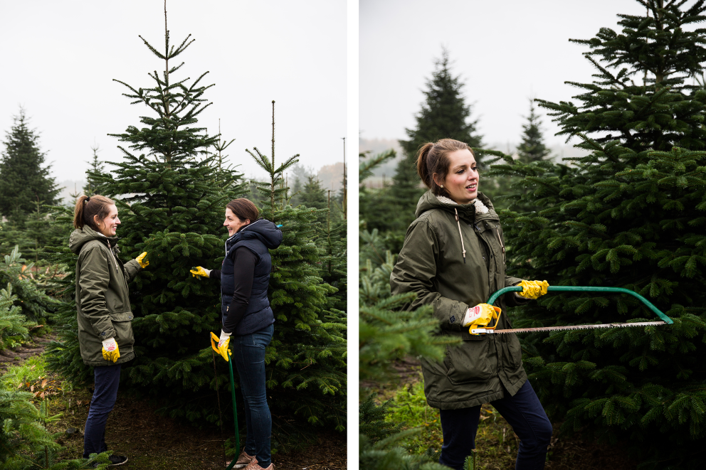 Esther Acason (li.) und Angela Oelkers vom «Hof Oelkers» in Wenzendorf suchen einen geeigneten Weihnachtsbaum zum Fällen aus. Esther Acason (li.) und Angela Oelkers vom «Hof Oelkers» in Wenzendorf suchen einen geeigneten Weihnachtsbaum zum Fällen aus.