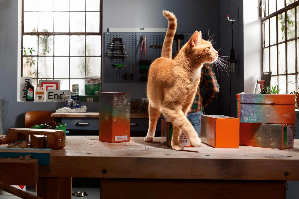 Jouets pour chats Jouets pour chats