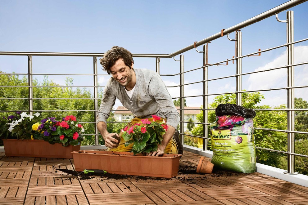 Balkonpflanzen im Sommer Balkonpflanzen im Sommer