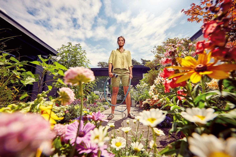 L'été au jardin