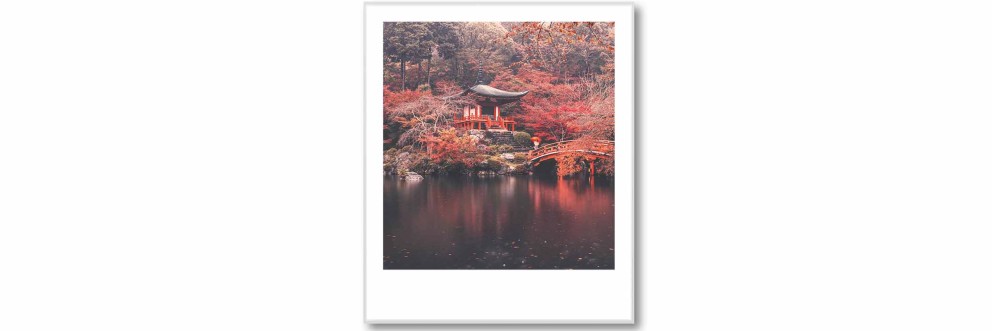 Colorful Kyoto Colorful Kyoto