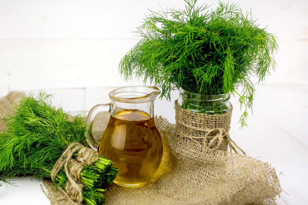 Stocker et utiliser les fines herbes Stocker et utiliser les fines herbes