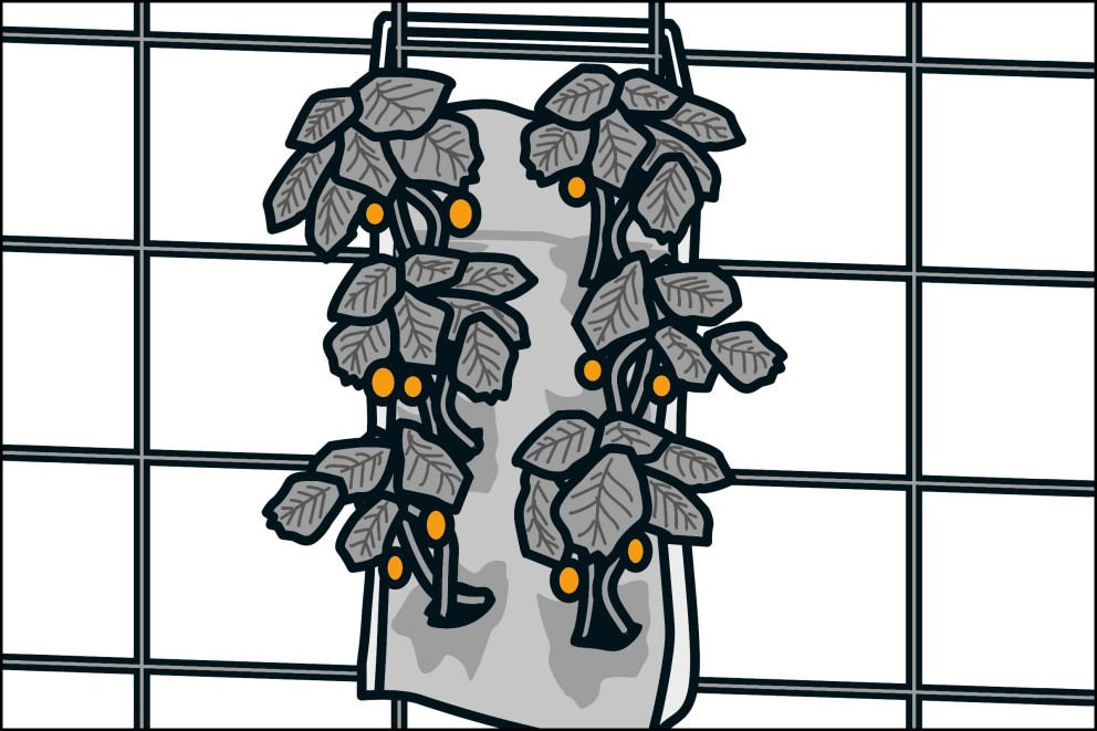  6e étape de travail – Dessin: sacs à plantes suspendus 