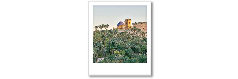 Palms of Valencia Palms of Valencia