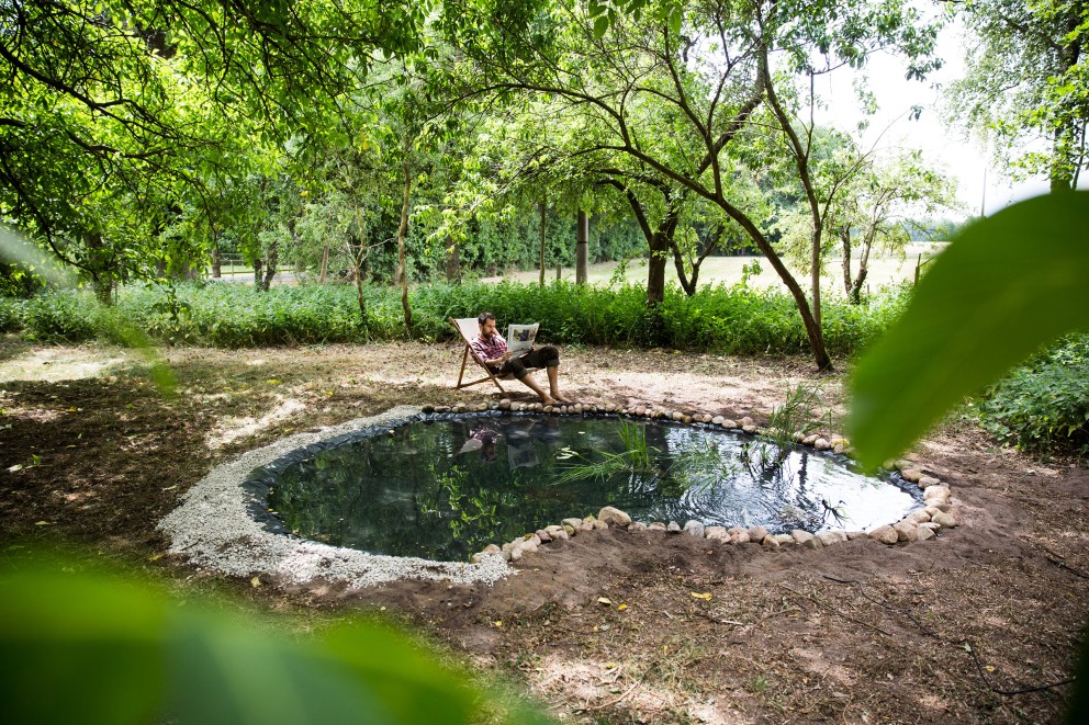 Un étang de jardin Un étang de jardin