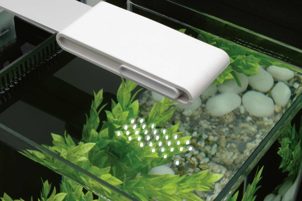Aquarium Beleuchtung