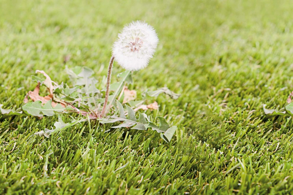 Les herbicides pour lutter contre les mauvaises herbes Les herbicides pour lutter contre les mauvaises herbes