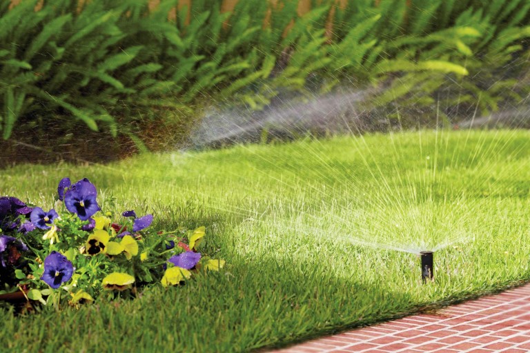 Minuterie d'irrigation de jardinage dispositif d'arrosage automatique  contrôle de détection de pluie de jardin système d'irrigation Intelligent