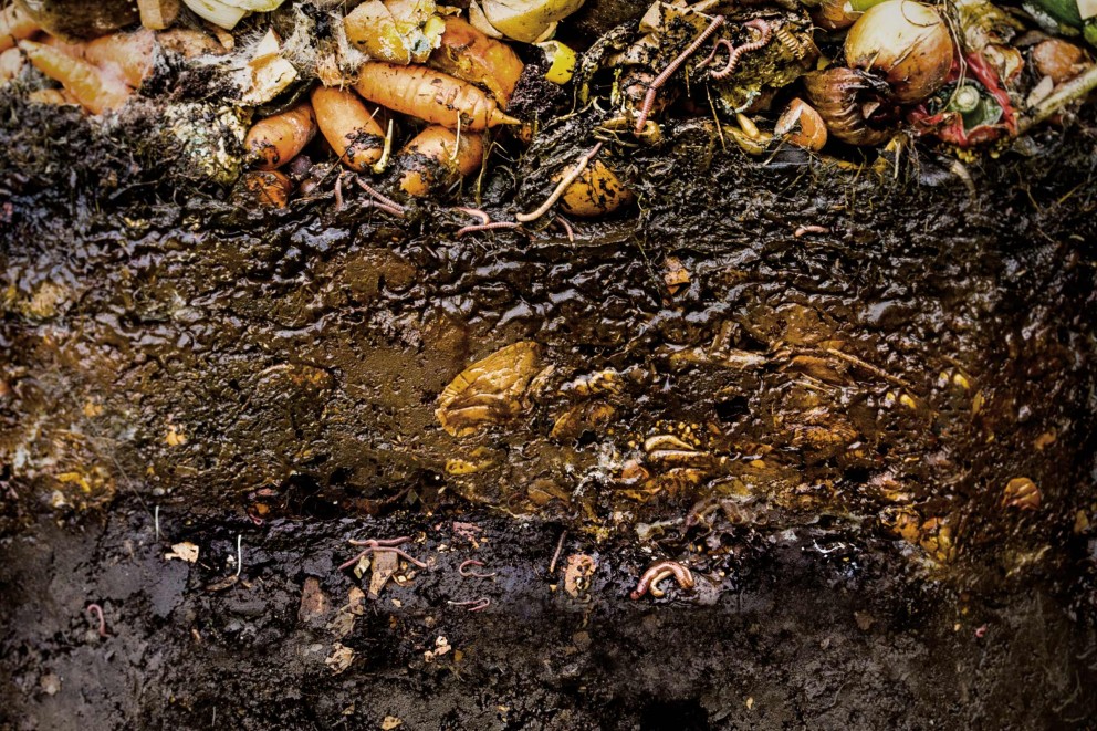 Gros plan de compost avec des restes de légumes et des vers