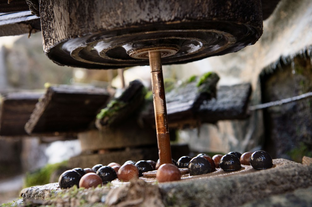 Les billes de marbre se trouvent dans les sillons de la meule – séparées par des boules de bois pour les proté Les billes de marbre se trouvent dans les sillons de la meule – séparées par des boules de bois pour les proté
