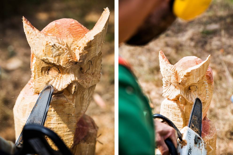 La sculpture pour avancés: le bec La sculpture pour avancés: le bec
