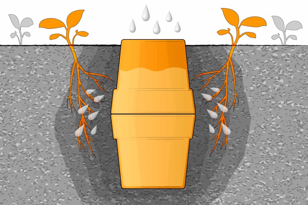 Arrosage du jardin avec des ollas Arrosage du jardin avec des ollas