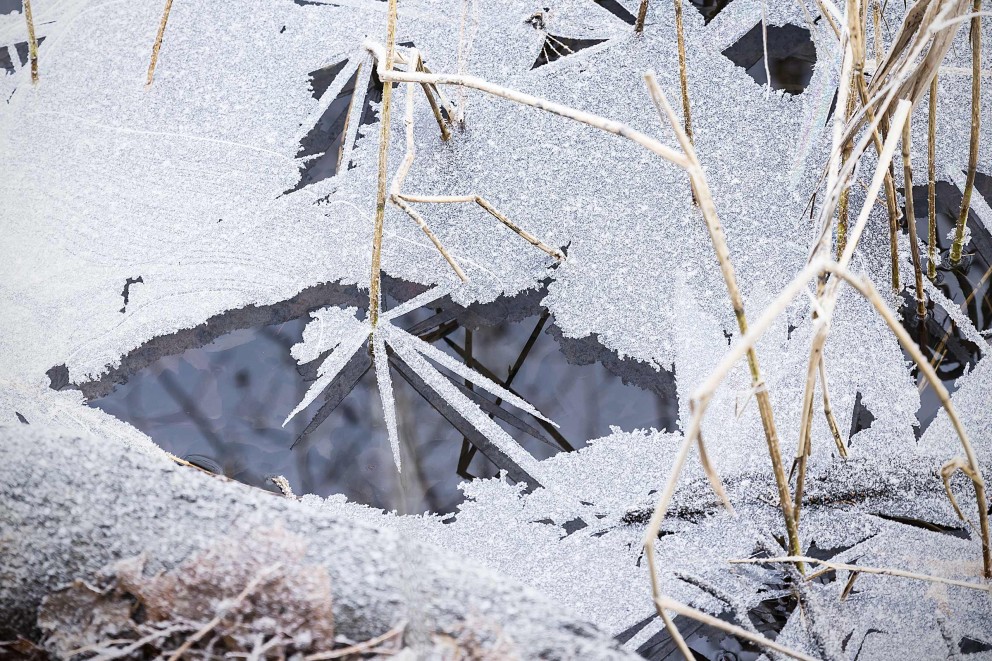 Projets de jardin en hiver Projets de jardin en hiver