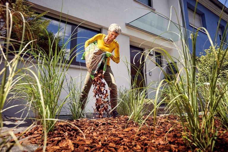 Aménager un jardinet