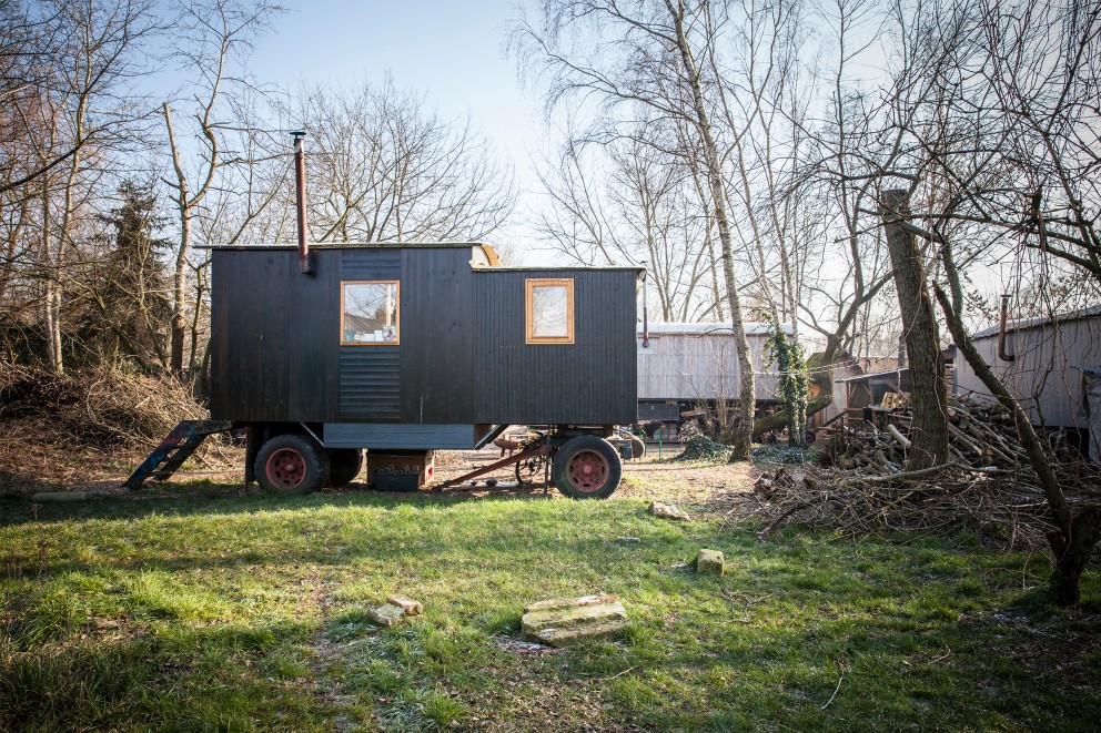 Bauwagen auf einer Wiese mit Bäumen im Hintergrund.