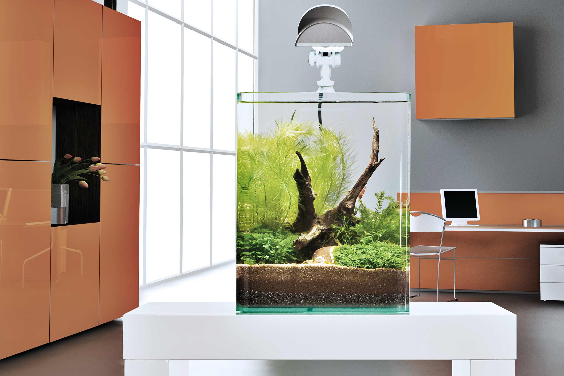 Eingerichtetes Aquarium mit Beleuchtung in einem hellen Raum