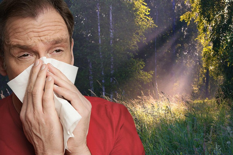 Pollen, Hausstaub & Co. in der Wohnung vermeiden