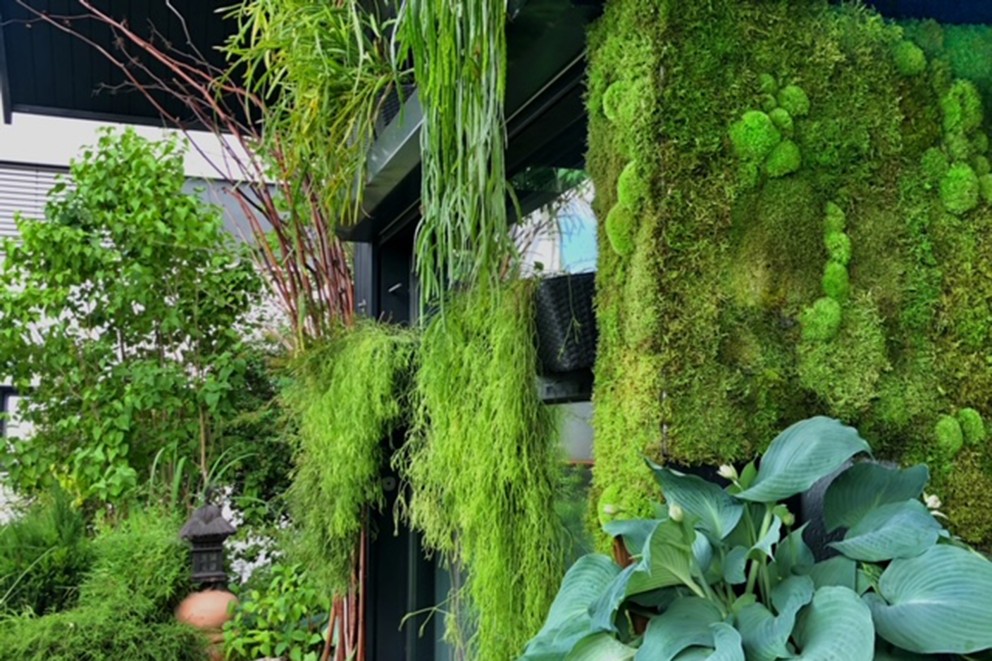 Il est quasiment impossible de faire plus vert: même la façade de la maison est enveloppée de mousse. Il est quasiment impossible de faire plus vert: même la façade de la maison est enveloppée de mousse.
