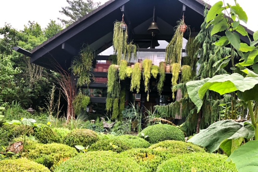 
				La maison de Sabine et Klaus Frank dans leur oasis verte.

			