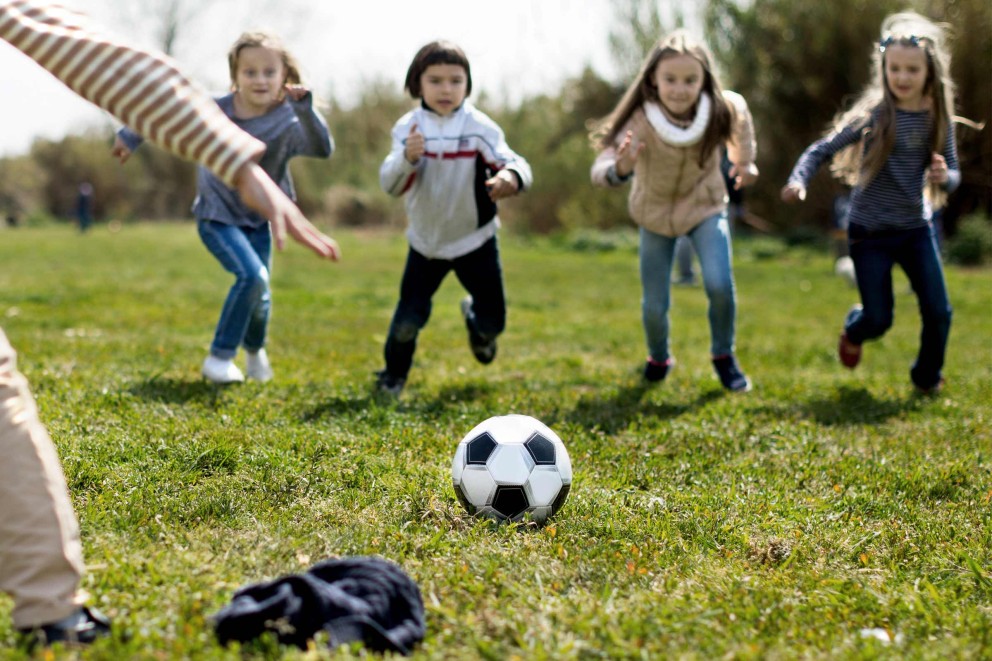 Spielrasen Spielrasen