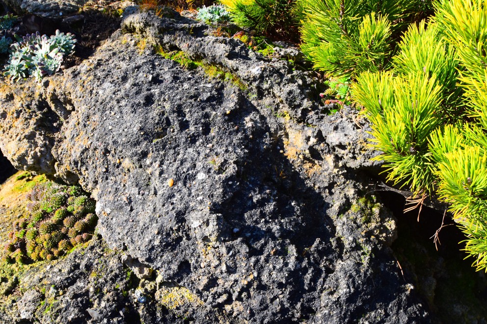 
				Naturel: le ciment «recouvert de mousse» après quelques années comme de vraies pierres.

			