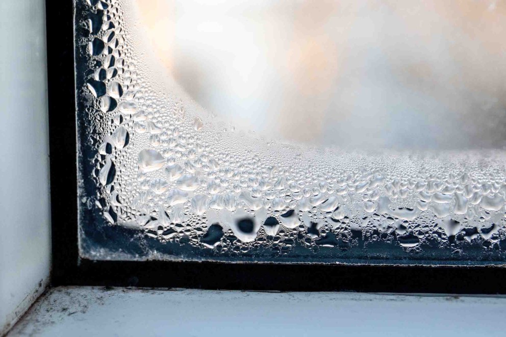 Fenster mit Kondenswasser