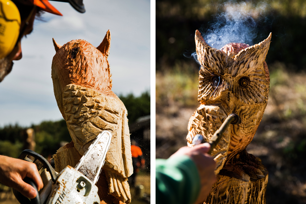 Le baptême de feu du plumage Le baptême de feu du plumage