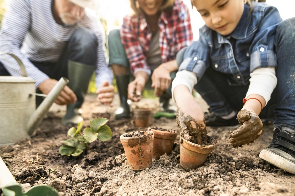 Projets de jardin avec les enfants Projets de jardin avec les enfants