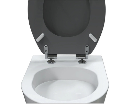 Abattant de WC avec fermeture amortie sur des toilettes