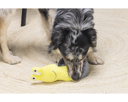 Un chien joue avec un jouet pour chien en forme d''escargot jaune sur un tapis.