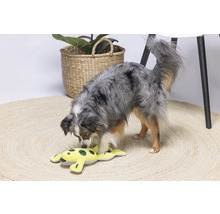 Ein Hund spielt mit einem gelben Stofftierfrosch auf einem runden Teppich.