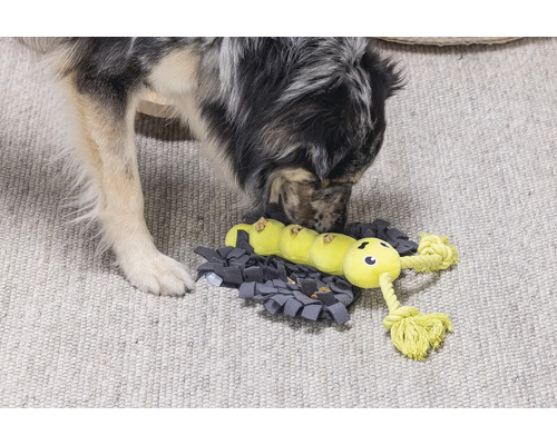 Hund erkundet interaktives Futterspielzeug mit Raupendesign auf einer Schnüffelmatte