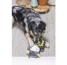 Ein Hund spielt mit einem Stofftier auf einem Teppich.