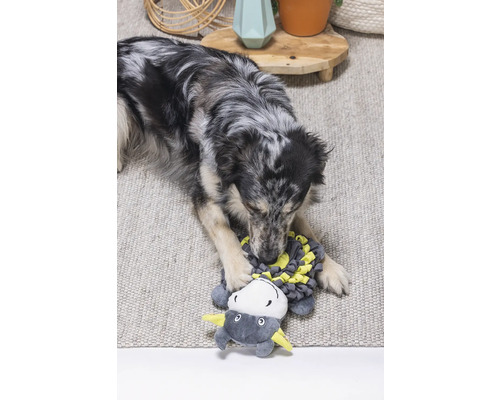 Ein Hund spielt mit einem Stofftier auf einem Teppich.