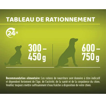 Tableau de rationnement pour aliments pour chiens avec recommandations d''alimentation et rations journalières