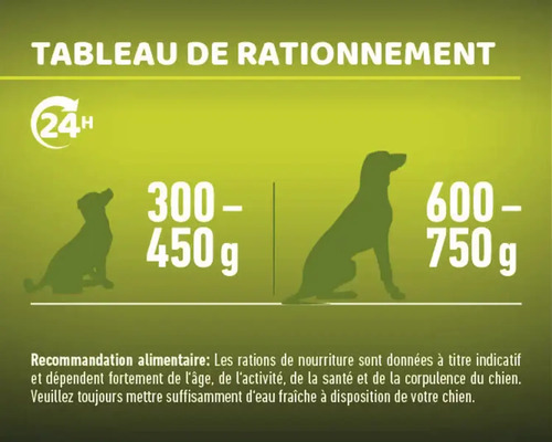 Tableau de rationnement pour aliments pour chiens avec recommandations d''alimentation et rations journalières