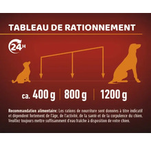 Tableau des rations alimentaires pour chiens en fonction du poids
