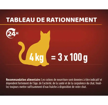 Tableau d''alimentation pour chat : Recommandation d''alimentation pour un chat de 4 kg : trois fois 100 grammes par jour.