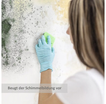 Frau mit Handschuhen reinigt Schimmel von einer Wand mit einem Schwamm