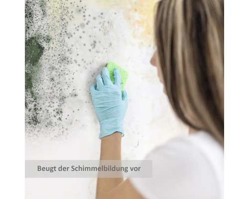 Frau mit Handschuhen reinigt Schimmel von einer Wand mit einem Schwamm