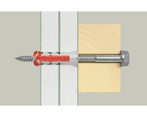 Fischer Dübel mit Schraube in Wand und Holz