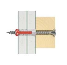 Fischer Dübel mit Schraube in Wand und Holz