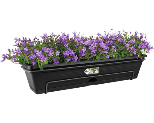Keramik-Pflanzgefäß Mit Farnblatt-Design | Weiß Auf Schwarz | Für Sukkulenten & Kräuter | Indoor & Outdoor