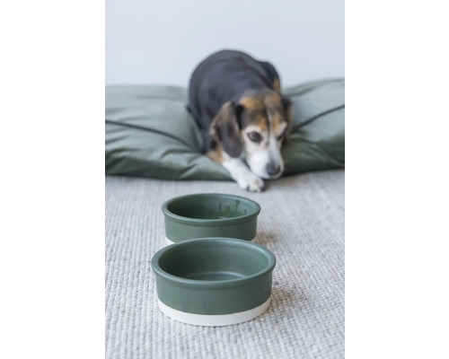 Zwei Futternäpfe für Hunde stehen vor einem Hundekissen.