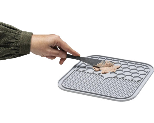 Tapis d''alimentation pour chat gris avec nourriture et main avec spatule