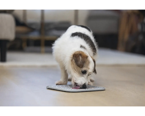 Chien buvant de l''eau d''un dessous de gamelle.